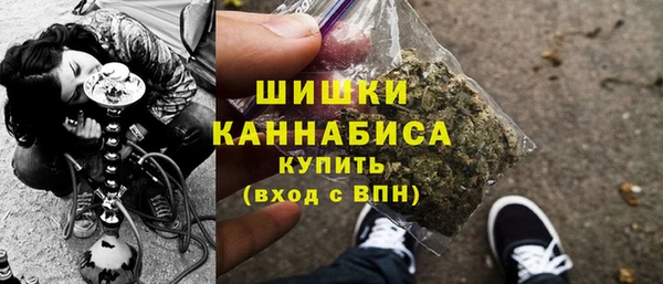 винт Богданович